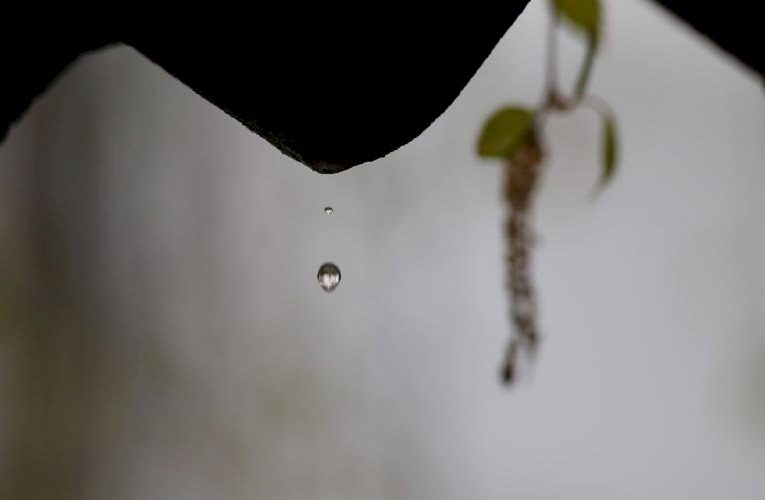 7 марта в Саранске ожидается дождь