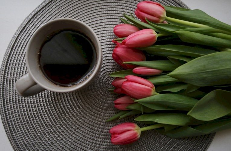 К 8 марта в Саранске поднялись цены на цветы