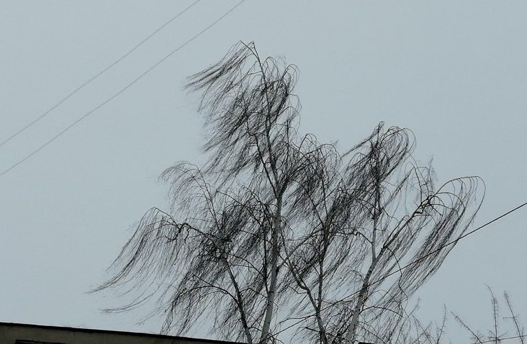 На Мордовию надвигается сильный порывистый ветер