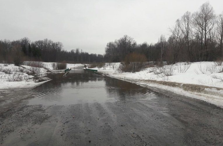 Паводковые воды затопили два моста в Мордовии