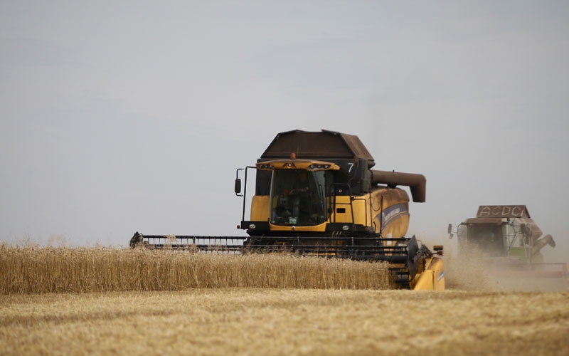 Мордовия собирает рекордный урожай зерна