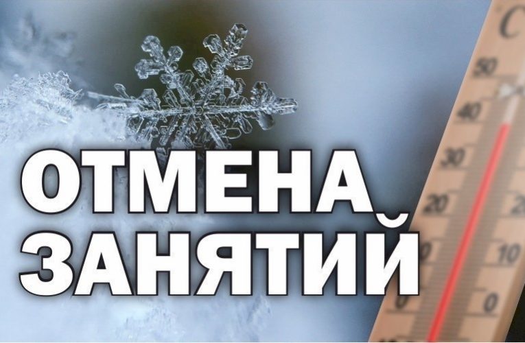 18 февраля из-за мороза в школах Мордовии частично отменили уроки