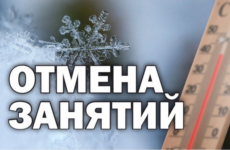 19 февраля в школах Мордовии из-за морозов отменили занятия