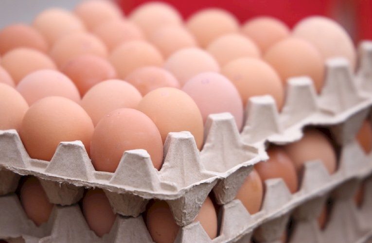 В России рост цен на яйца и мясо птицы будет в пределах инфляции