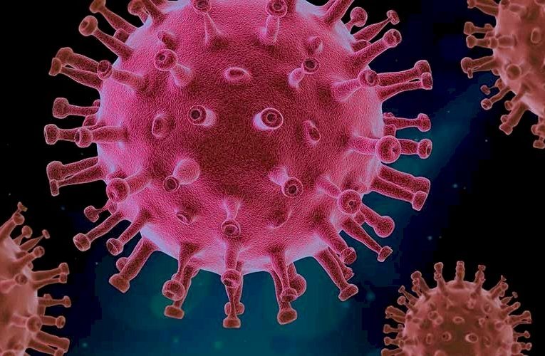 Стало известно, почему коронавирус особо опасен для пожилых людей